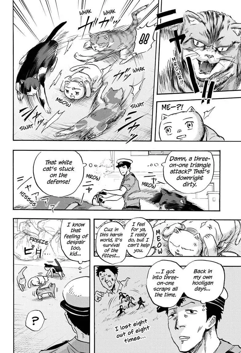 High School Family: Kokosei Kazoku Chapter 40 4
